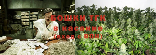 стафф Богданович