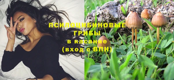 метадон Сясьстрой