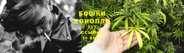 ПСИЛОЦИБИНОВЫЕ ГРИБЫ Тайга