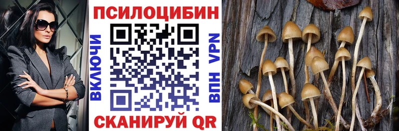 OMG вход  Людиново  Псилоцибиновые грибы мицелий 
